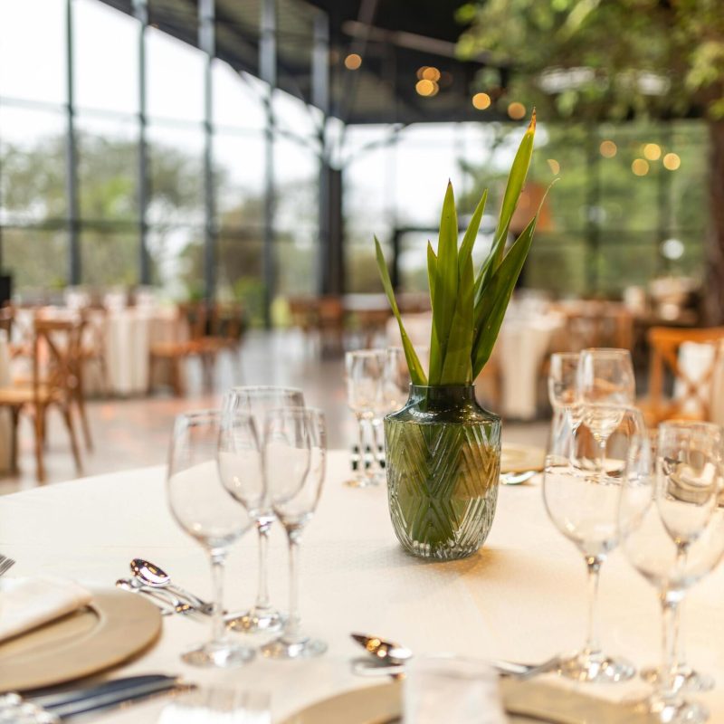 mola events donostia51